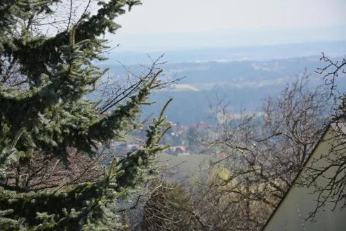 Weingut Seiner vlg. Kraxner in Greisdorf, Österreich