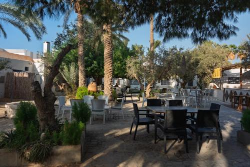 Aed, CoZi at Dar Faiza in Djerba