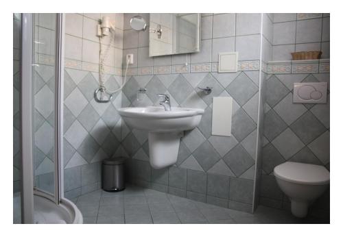 Prague Golden Age - image 2