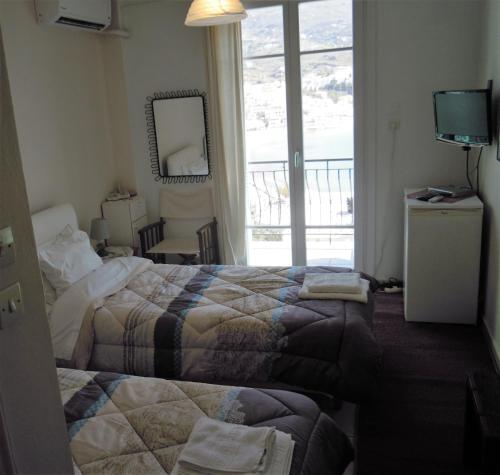 Blue Dolphin - image 11