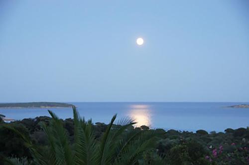 Résidence U LATONU - Palombaggia - image 13