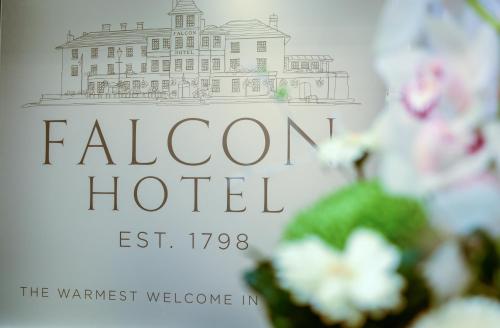The Falcon Hotel - image 14