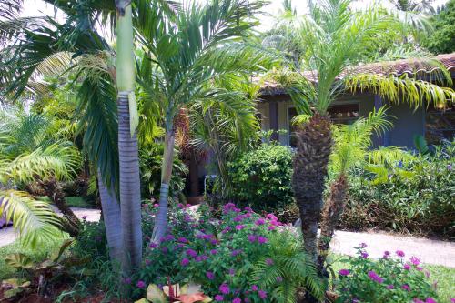 Royal Flamingo Villas – Hillsboro Beach, FL