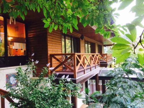 Ekosamotnia - image 9