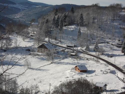 La Ferme du Vieux Sapin – La Bresse, NM