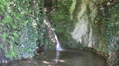 La Cascata Negli Ulivi