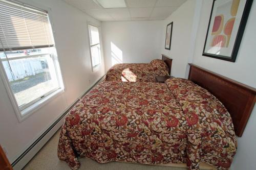 Shore Beach Houses - 57 Dupont Ave - image 4
