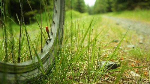 Pokoje Gościnne Wysoka - image 9