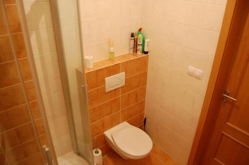 Bad, Apartman Spicak Sruby in Zelezna Ruda