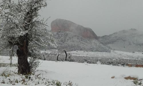 Iekārtas, El Palomar de Penarrubia in Penarrubia