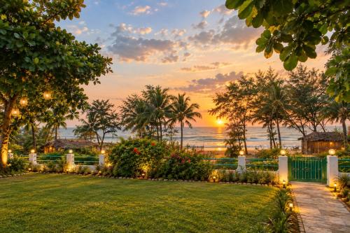 Papilio Beach Front Cottages