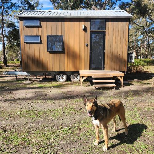 Northern Grampians Hideaway by Tiny Away in Glenorchy (VIC)