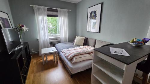 Cozy studio in the heart of Oslo