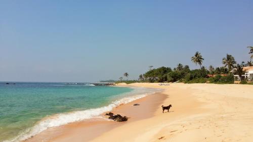 92471651 IMAGINE Villa Hotel
