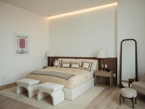 Condesa Residence - Roma Luxury Suite 501