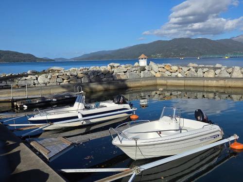 Fjordglimt in Skanevik