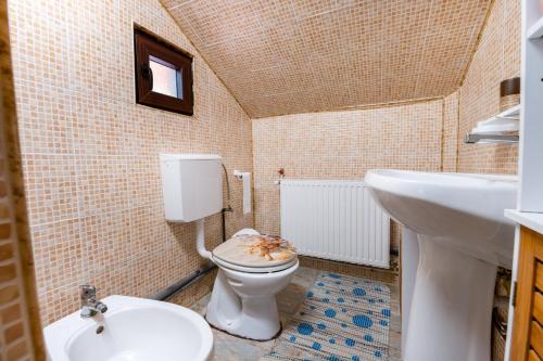 Viscri Trophy Cabin in Viscri