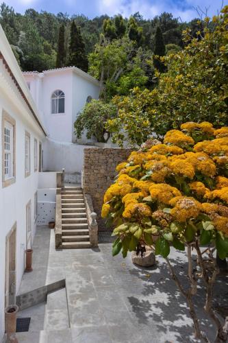 Private Spa Suite - Fall Retreat at Quinta do Griffo gîte à louer Capuchos