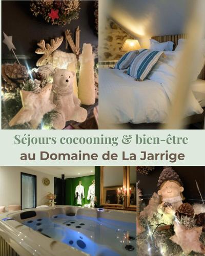 Domaine de la Jarrige 2