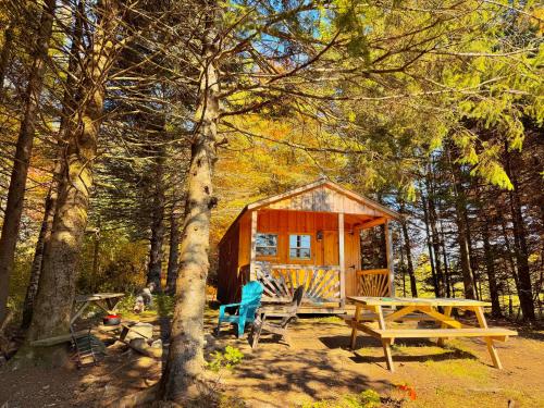 Lookout Cabin