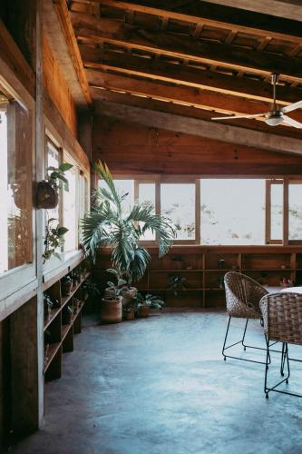CASa JUNGLa