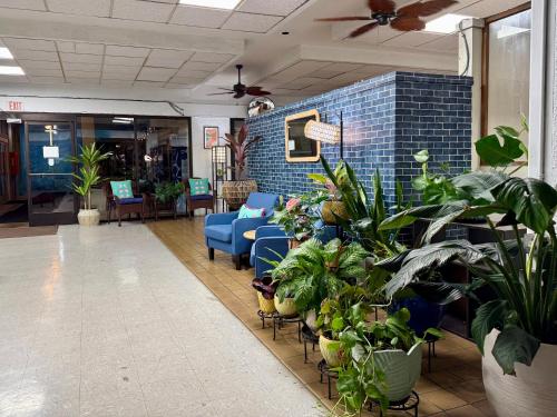 Lobby, Central YMCA Residences in Honolulu (HI)