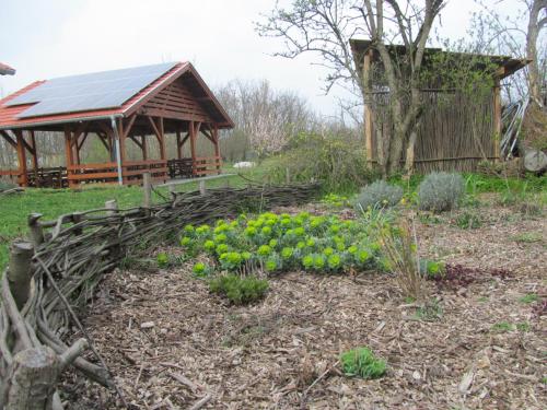 Garden, Rigofutty Vendeghaz in Tiszaalpár