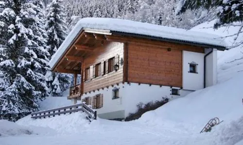 Alpenstern in Gaschurn, Österreich