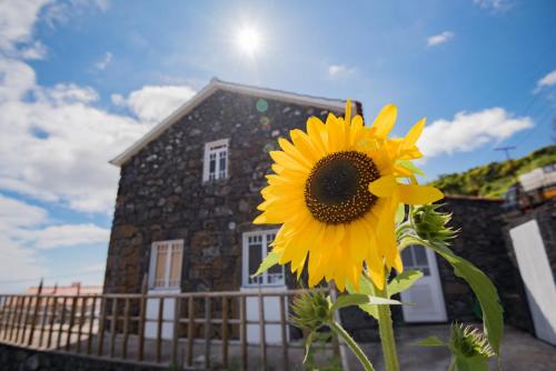บริการและสิ่งอำนวยความสะดวก, Stone Dreams - Pedra da Atafona in กาลเยตา เด เนสกิม