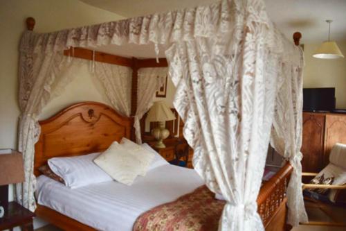 St Peters Bed and Breakfast - image 8