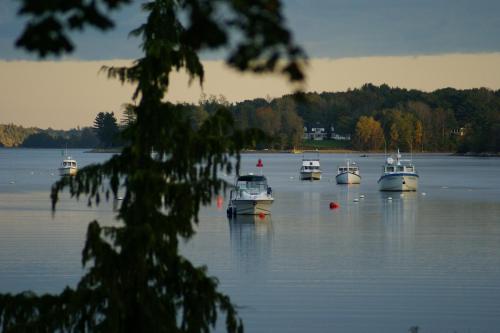 Fisherman's Daughter B&B