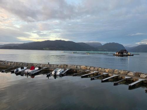 Sea breeze Waterfront Cabin Skanevik Fjordhytter in Skanevik