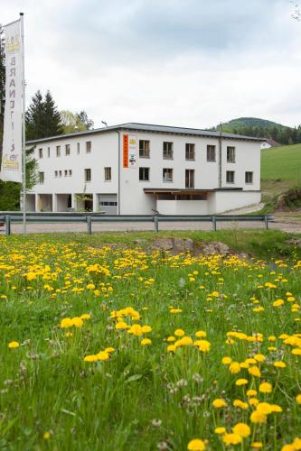 Hotelli välisilme, Brandtner Komfortzimmer in Kaumberg