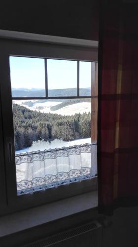 Pension Forsthaus Täle - image 3