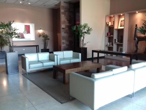 Lobby, Hotel Tower Inn & Suites in San Rafael