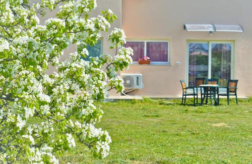 La Maison di Zia Annina in Sardegna