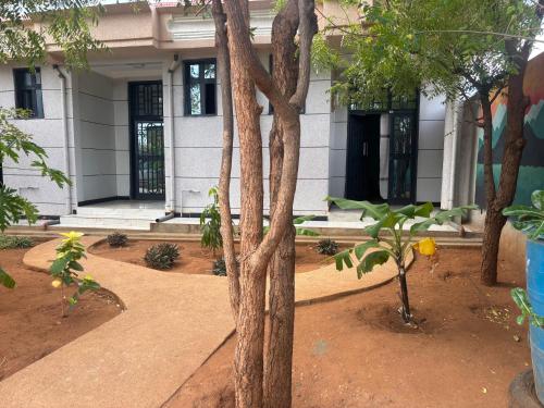 Efoy Guesthouse Turmi