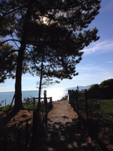 Beach, Ferntree Cottage in Mapua