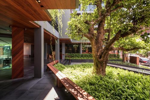 Garden, The Habita Hatyai in Hat Yai