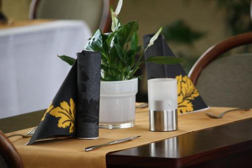 Iekārtas, Hotel Eleganz in Düvier