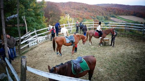 Country House Na Malenom brijegu - Accommodation - Bjelovar