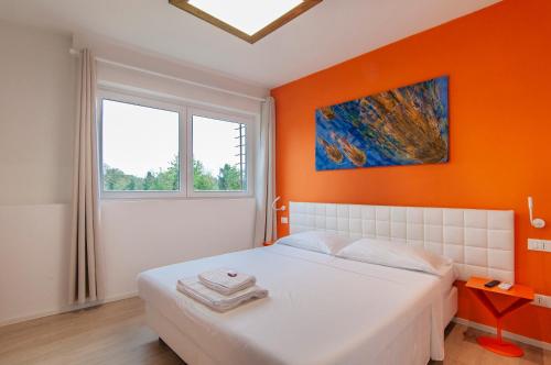 Kedimore - Suite Color House