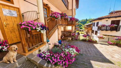  LA FONTANA di Casa Bernardi, terrazzo Wi-Fi PetFriendly con Area Cani in Montagnaga