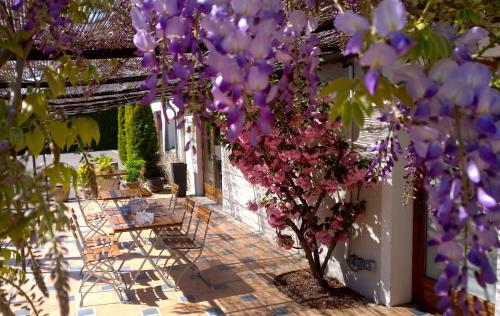 Logis Hotel Le Nouvel - Hôtel - Portes-lès-Valence