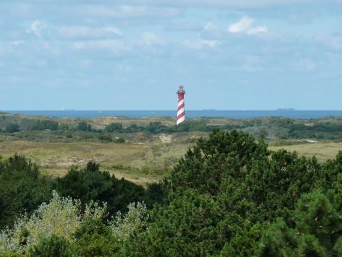 Camping Ginsterveld