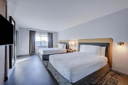 2 queen beds, 1 sofa bed