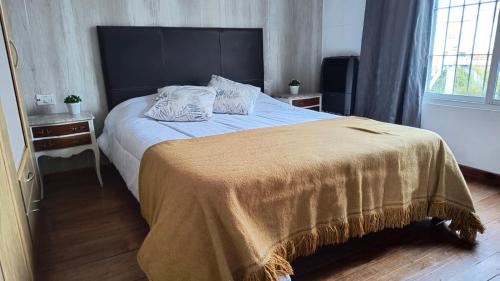 Departamento M