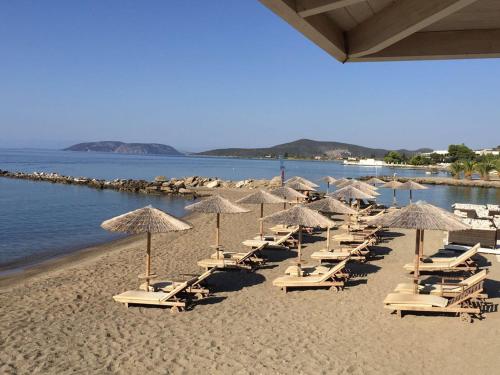  Cozy House in the Venice of Greece in 21051 Thermisia