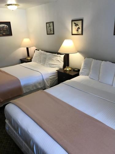 2 double beds