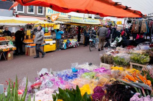Amsterdam Roof Terrace B&B - image 12